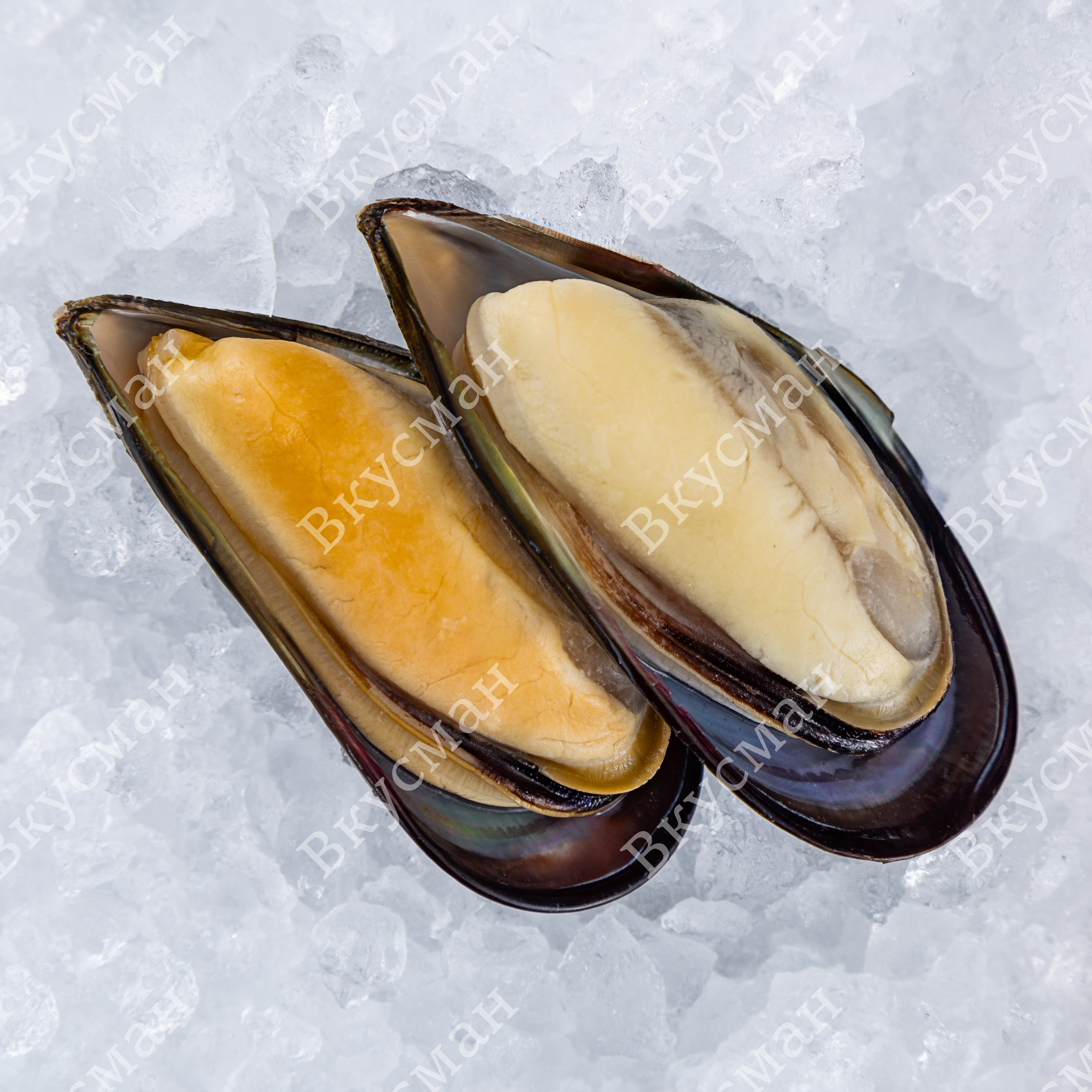 Мидии синие, на половинках раковины, (M) 30/45