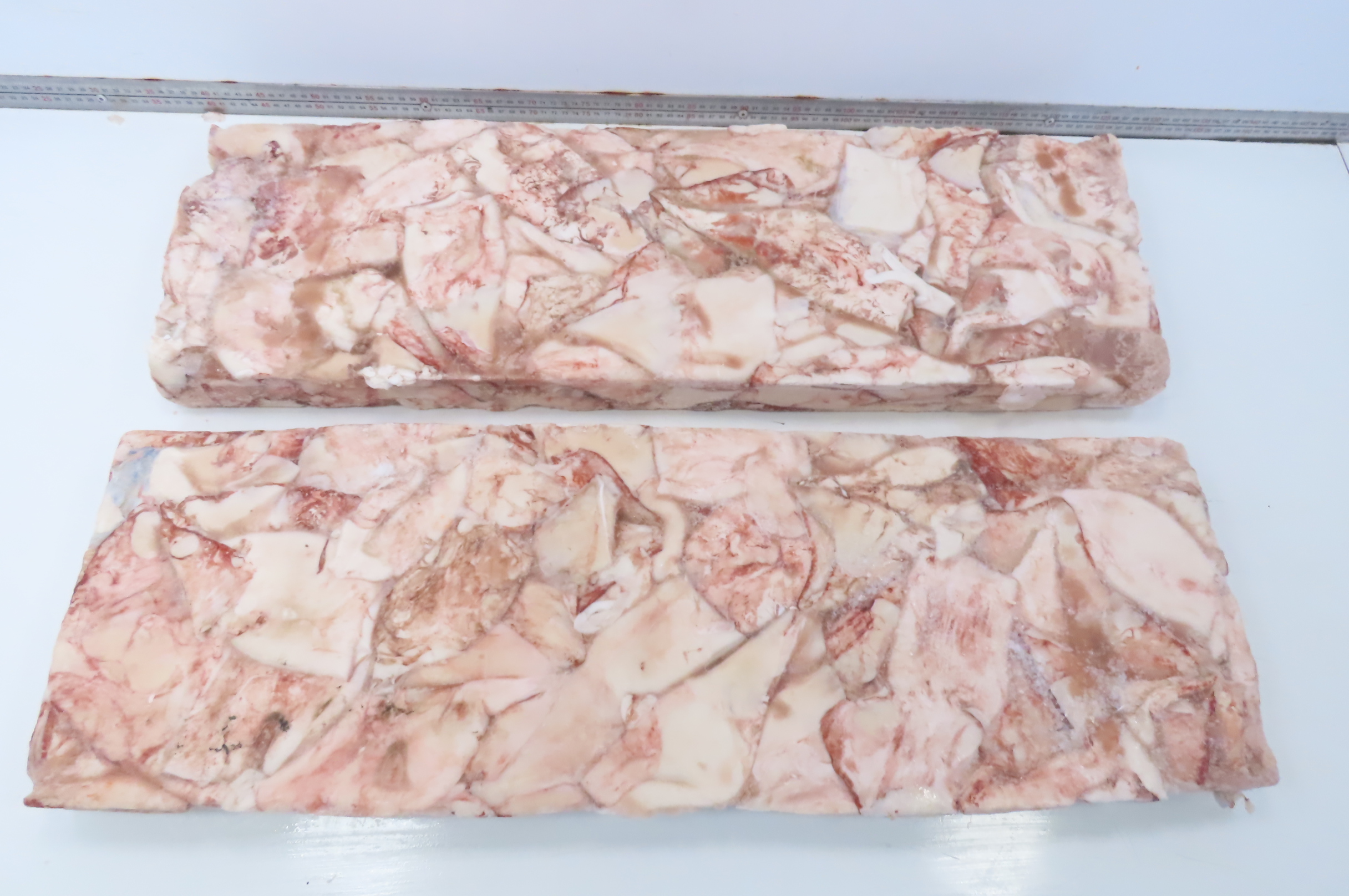 Кальмар, тушка