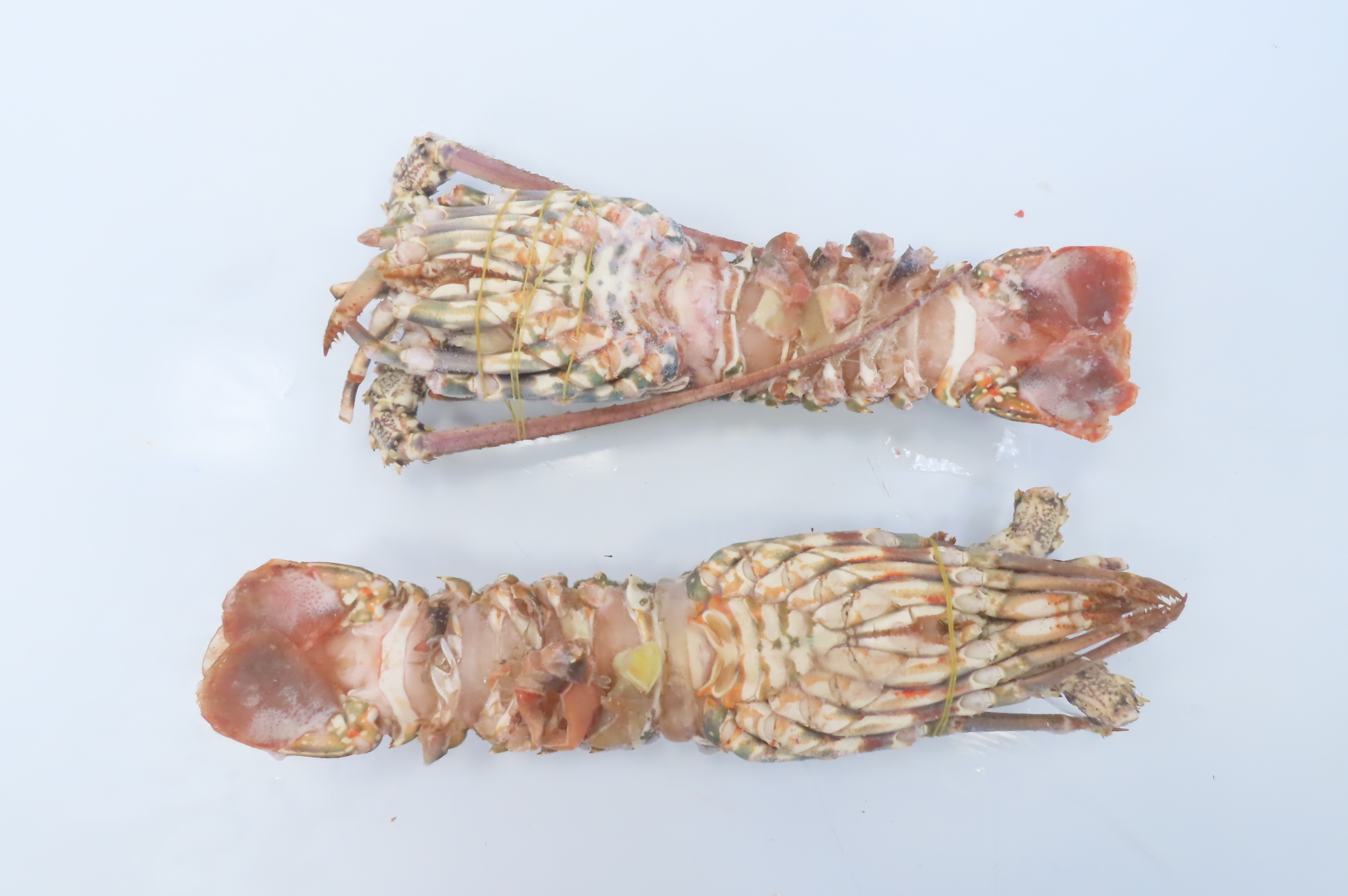 Лангусты, целые, 600-700г