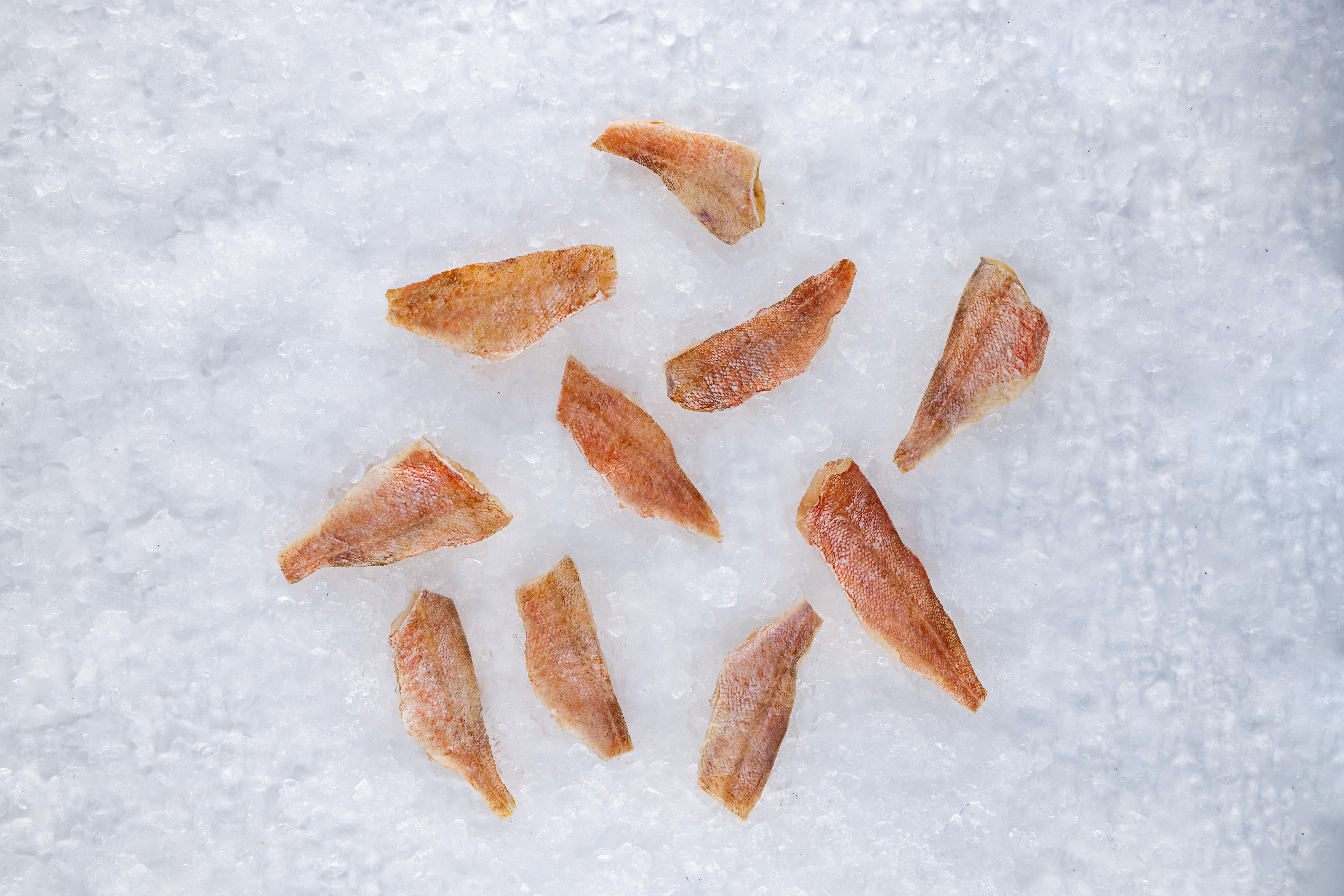 Окунь, филе н/к