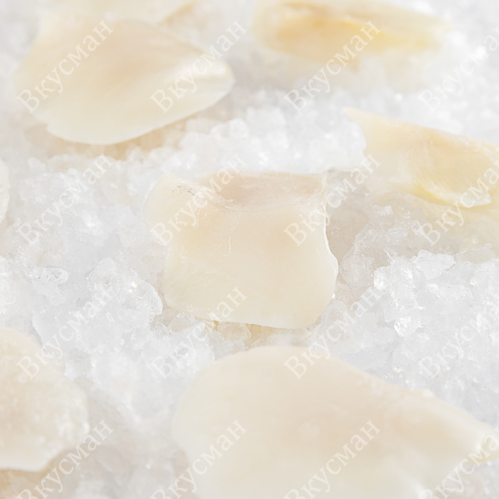 Сибас чилийский (патагонский клыкач) , щёки