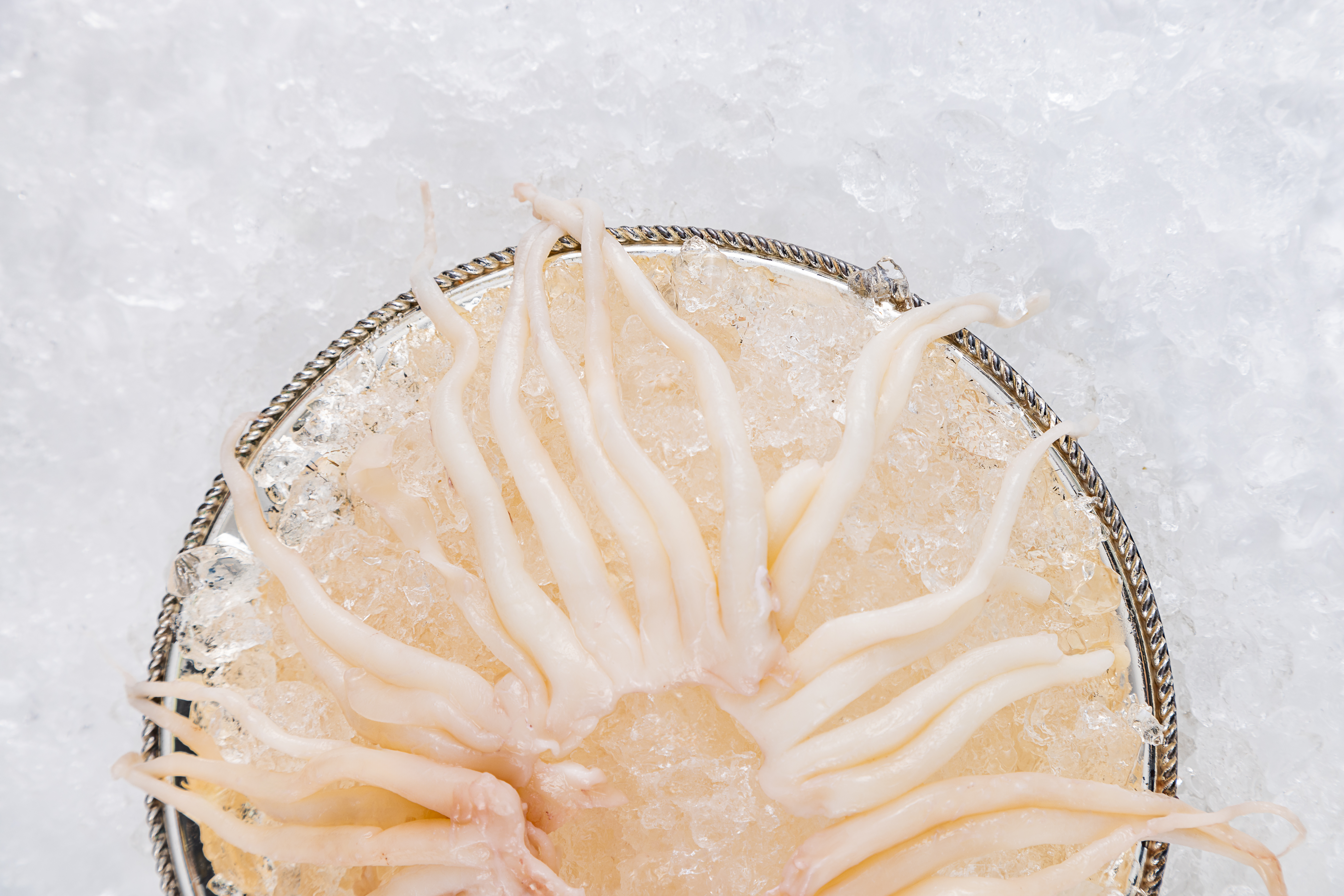 Кальмар, щупальца