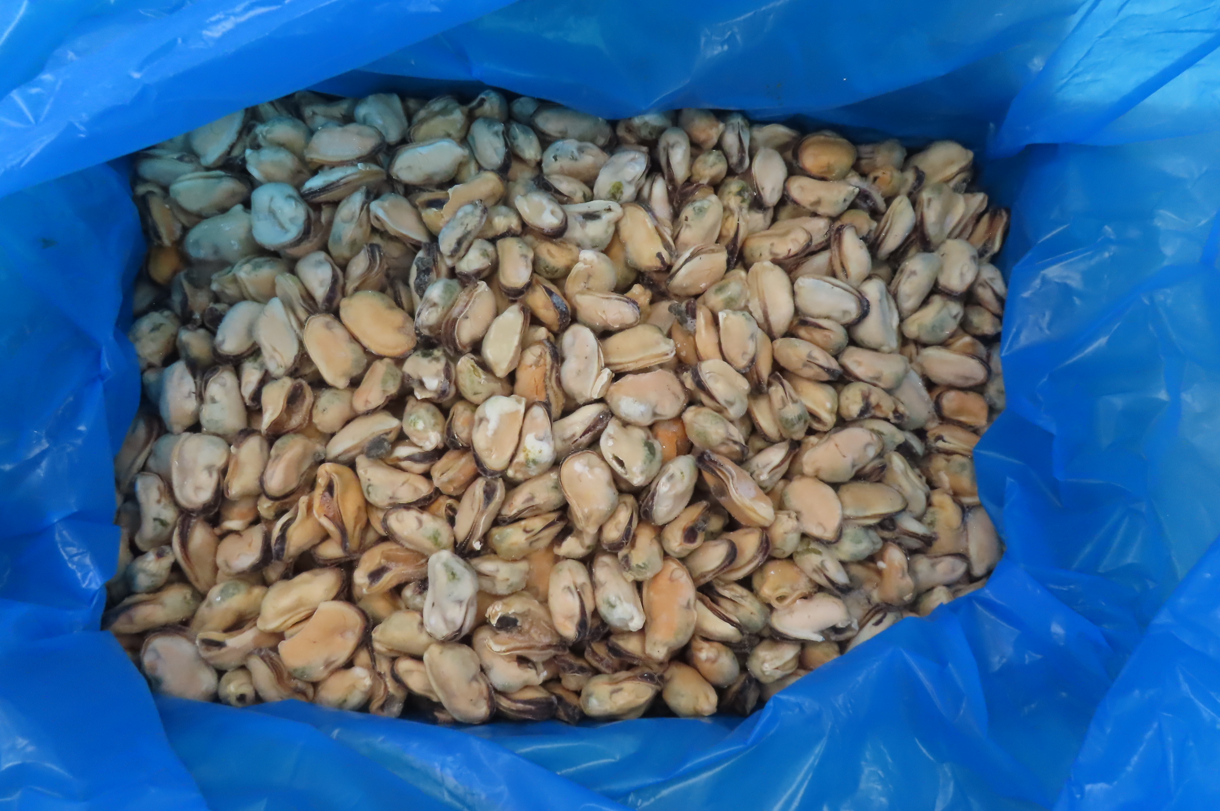 Мидии, мясо, 200/300, в/м