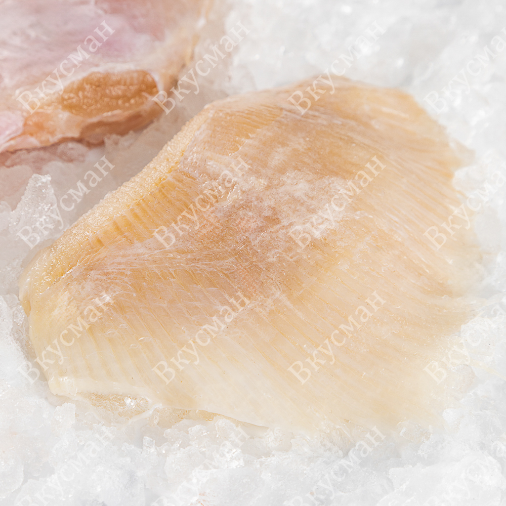 Скат, крылья б/к