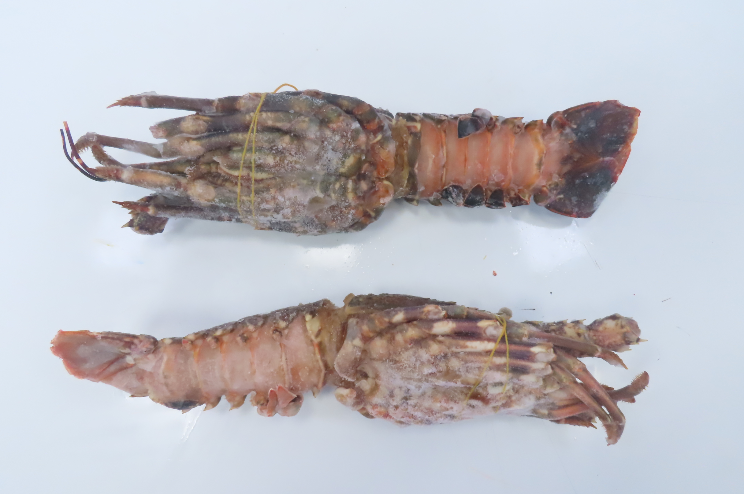 Лангусты, целые, 500-600г