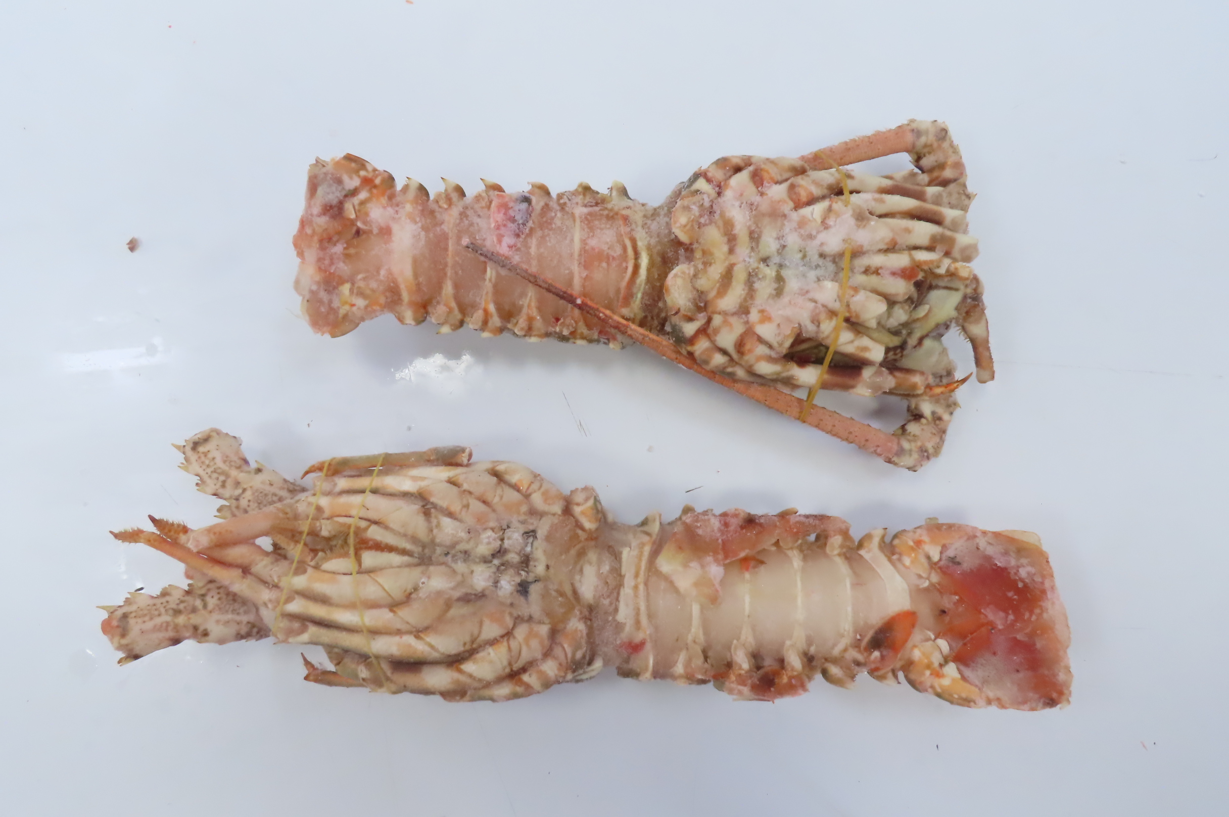 Лангусты, целые, 400-500г