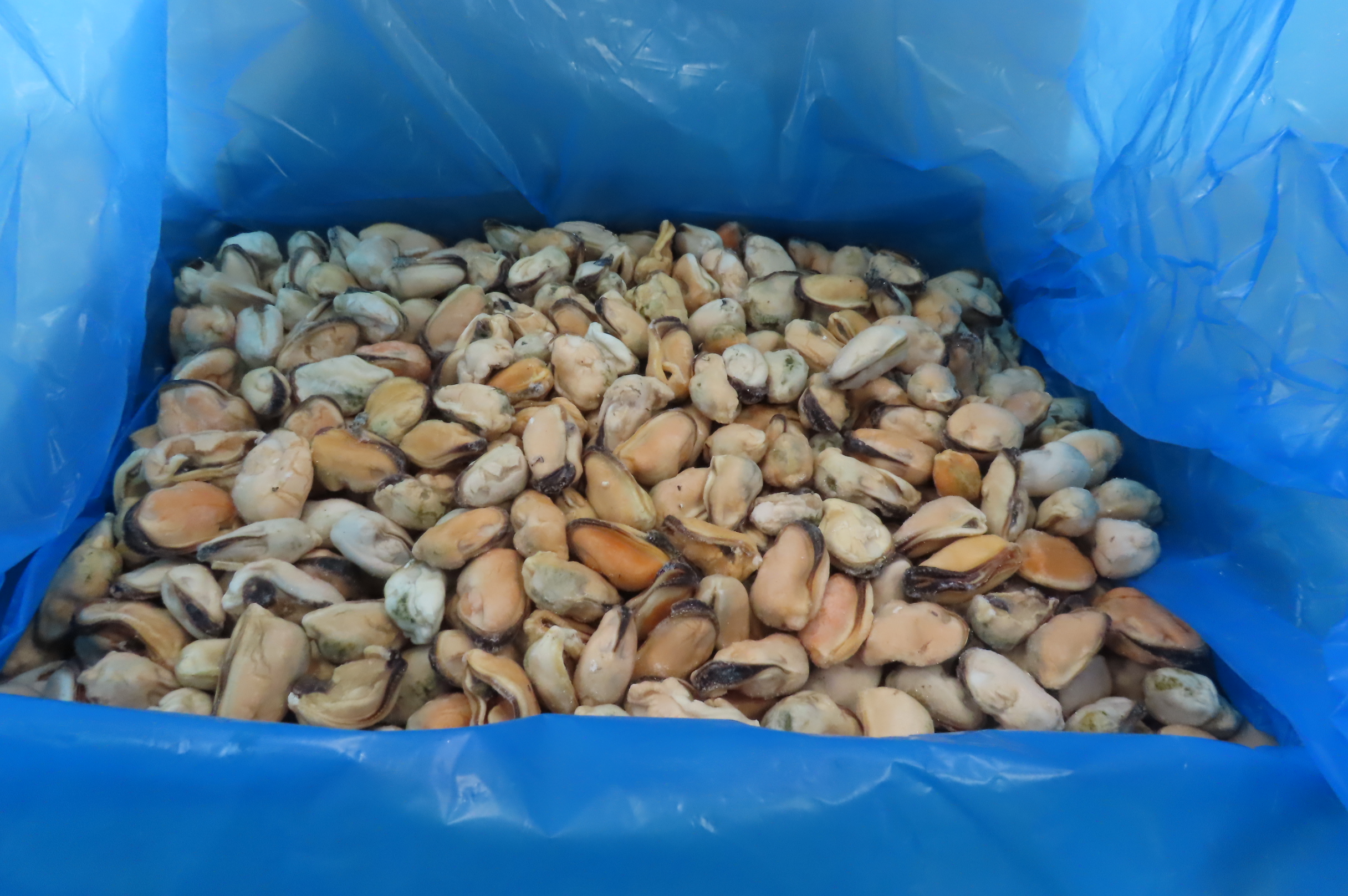 Мидии, мясо, 100/200, в/м