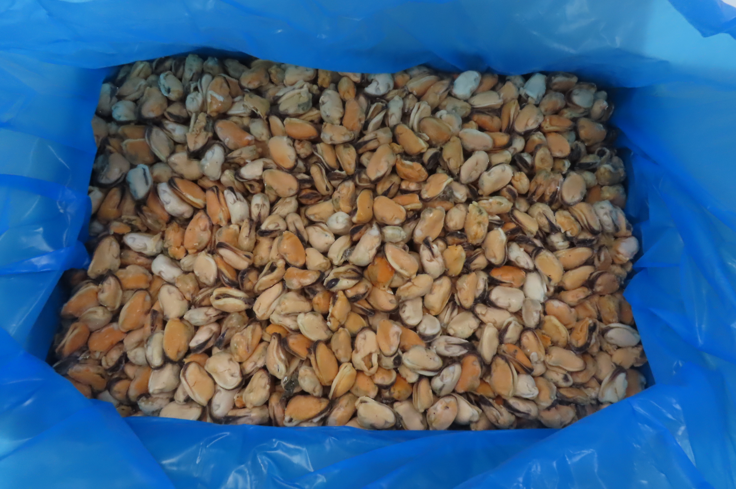 Мидии, мясо, 300/500, в/м