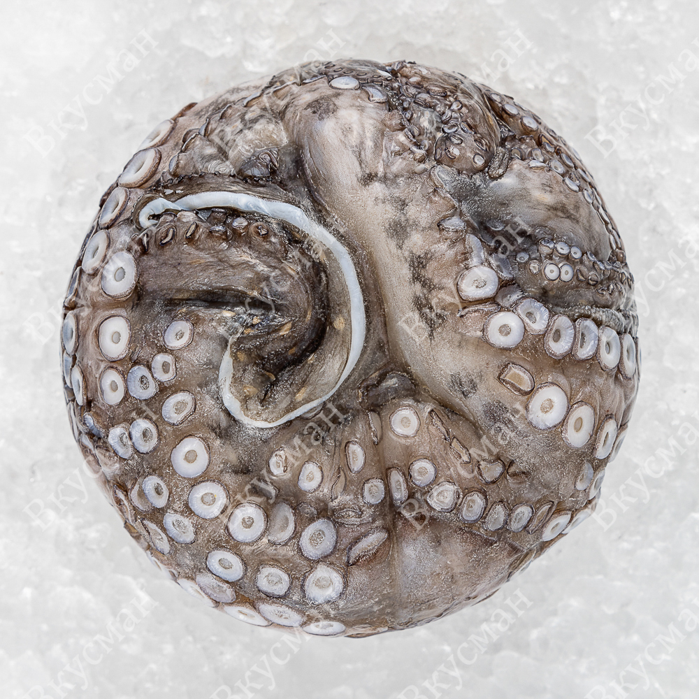 Осьминог, очищ., 4-4,5кг