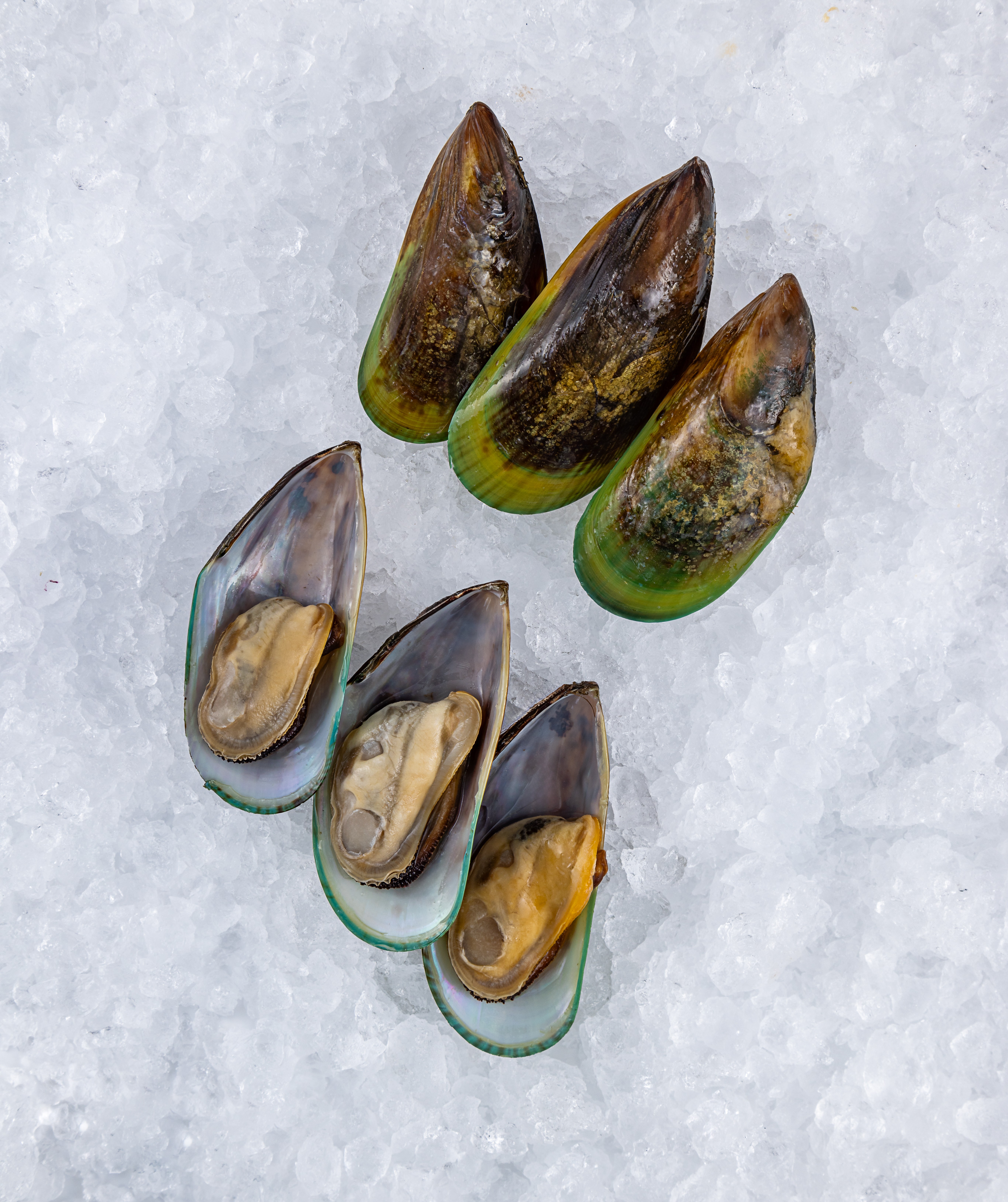 Мидии киви, на половинках раковины, (M) 30/45